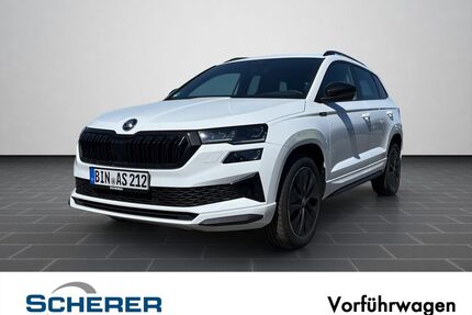 Skoda Karoq Gebrauchtwagen
