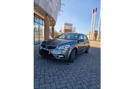 Kia ceed / Ceed Gebrauchtwagen