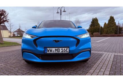 Ford Mustang Mach-E Gebrauchtwagen