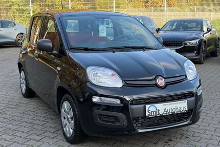 Fiat Panda Gebrauchtwagen