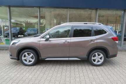 Subaru Forester Gebrauchtwagen