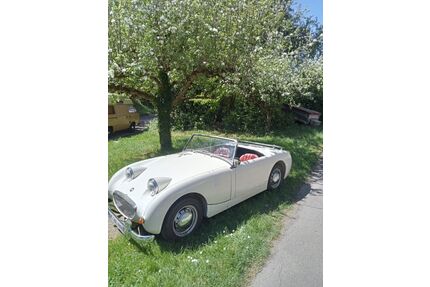 Austin Rover Andere Gebrauchtwagen