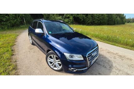 Audi SQ5 Gebrauchtwagen
