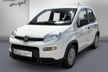 Fiat Panda Gebrauchtwagen