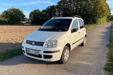 Fiat Panda Gebrauchtwagen