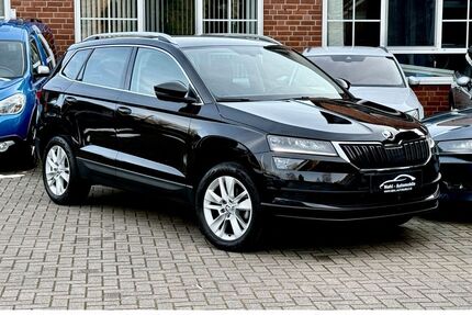 Skoda Karoq Gebrauchtwagen
