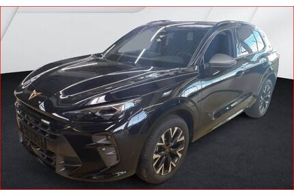 Cupra Terramar Gebrauchtwagen
