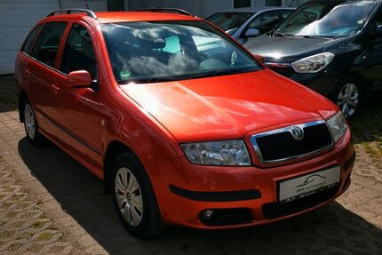Skoda Fabia Gebrauchtwagen