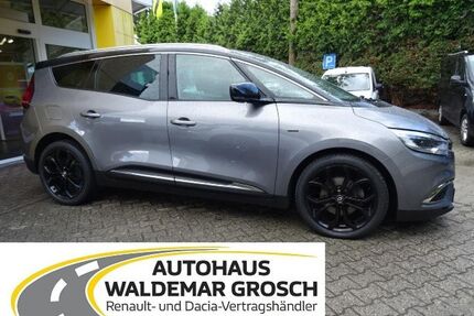 Renault Scenic Gebrauchtwagen
