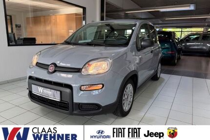 Fiat Panda Gebrauchtwagen