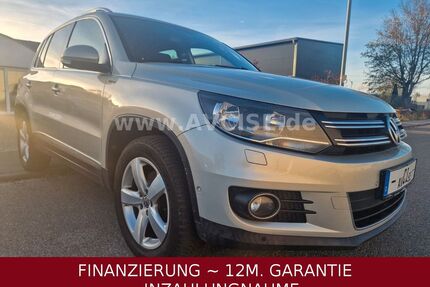 VW Tiguan Gebrauchtwagen