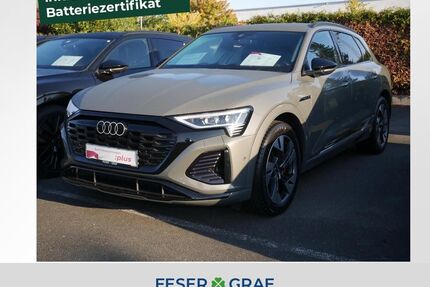 Audi Q8 e-tron Gebrauchtwagen