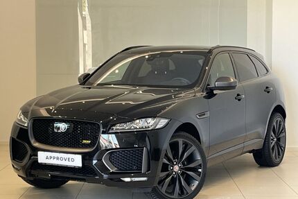 Jaguar F-Pace Gebrauchtwagen