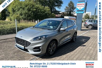 Ford Kuga Gebrauchtwagen