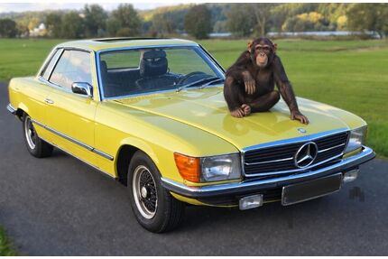 Mercedes-Benz SLC 280 Gebrauchtwagen
