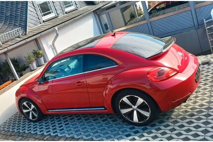 VW Beetle Gebrauchtwagen