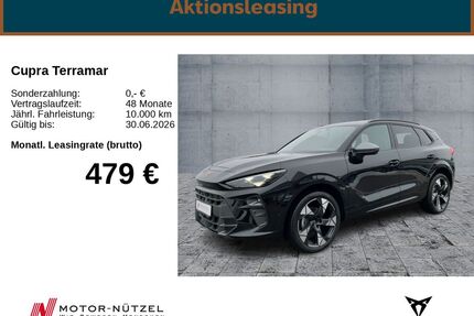 Cupra Terramar Gebrauchtwagen