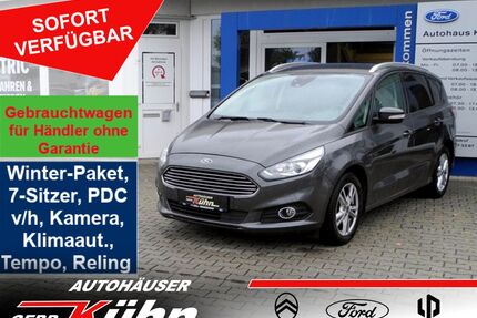 Ford S-Max Gebrauchtwagen