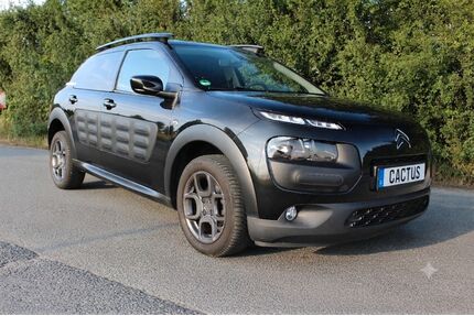 Citroen C4 Cactus Gebrauchtwagen
