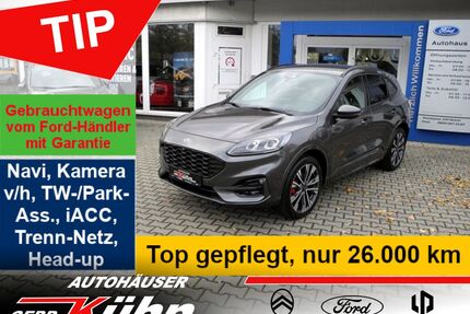 Ford Kuga Gebrauchtwagen