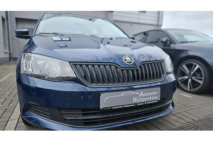 Skoda Fabia Gebrauchtwagen