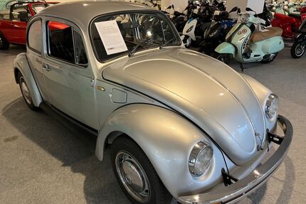 VW Käfer Gebrauchtwagen