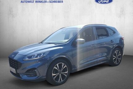 Ford Kuga Gebrauchtwagen