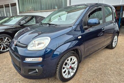 Fiat Panda Gebrauchtwagen