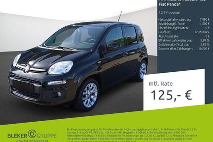 Fiat Panda Gebrauchtwagen