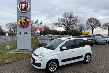 Fiat New Panda Gebrauchtwagen