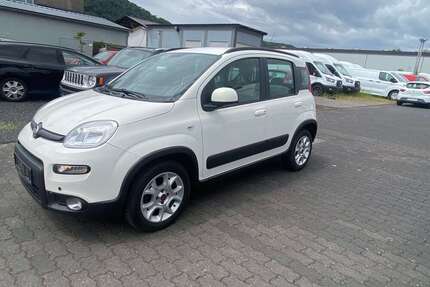 Fiat Panda Gebrauchtwagen