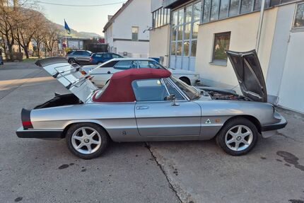 Alfa Romeo Spider Gebrauchtwagen