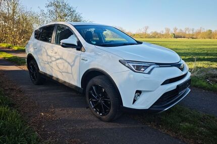 Toyota RAV 4 Gebrauchtwagen