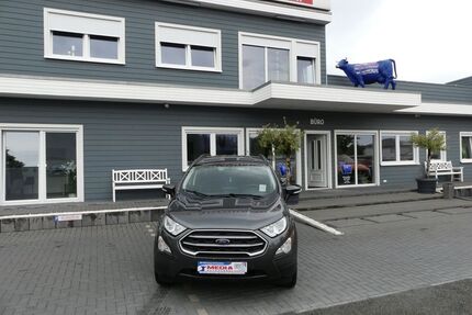 Ford EcoSport Gebrauchtwagen