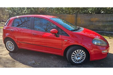 Fiat Punto Gebrauchtwagen