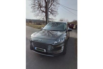 Ford Kuga Gebrauchtwagen