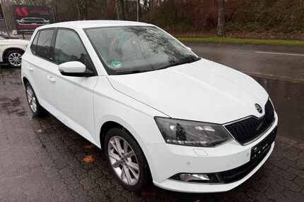 Skoda Fabia Gebrauchtwagen