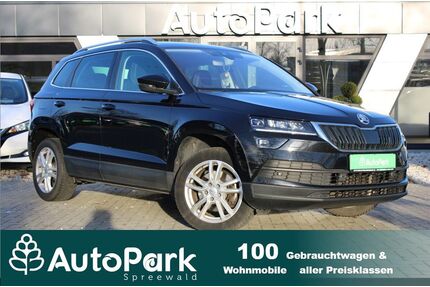 Skoda Karoq Gebrauchtwagen