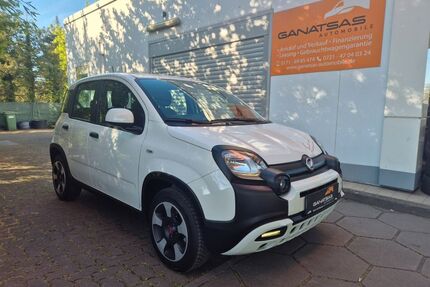 Fiat Panda Gebrauchtwagen