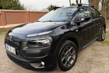 Citroen C4 Cactus Gebrauchtwagen