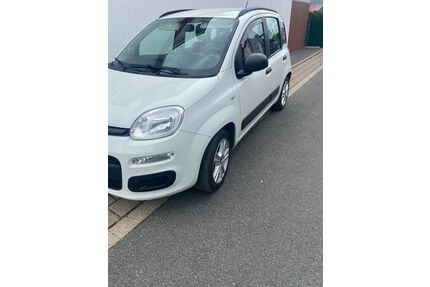 Fiat New Panda Gebrauchtwagen