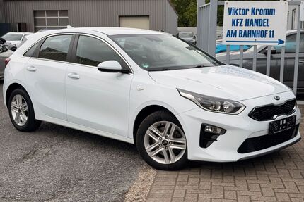 Kia ceed / Ceed Gebrauchtwagen