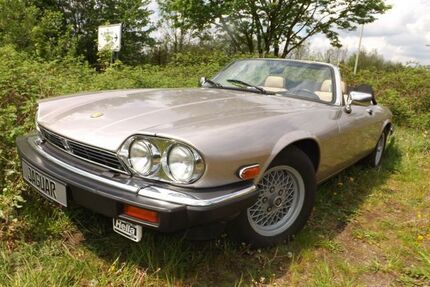 Jaguar XJS Gebrauchtwagen