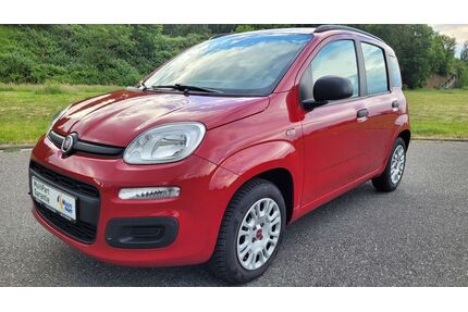 Fiat New Panda Gebrauchtwagen