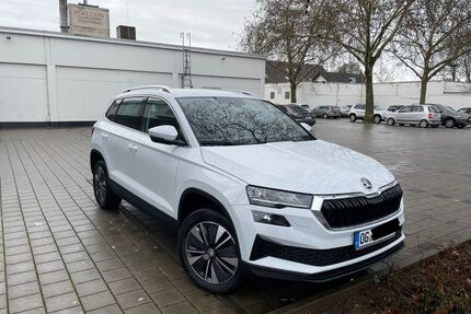 Skoda Karoq Gebrauchtwagen