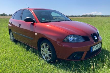 Seat Ibiza Gebrauchtwagen