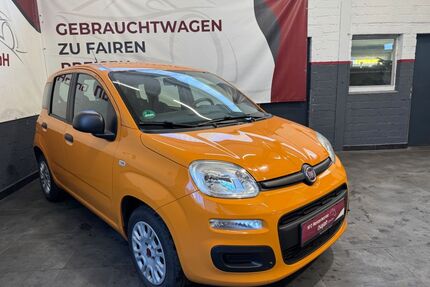 Fiat Panda Gebrauchtwagen