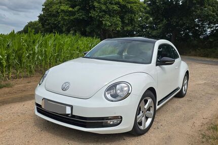VW Beetle Gebrauchtwagen