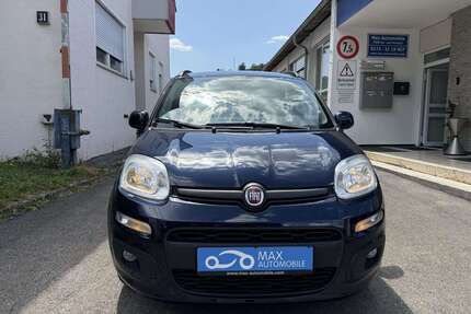 Fiat Panda Gebrauchtwagen