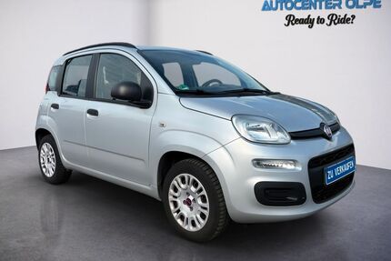 Fiat Panda Gebrauchtwagen